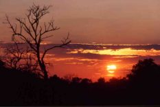 tramonto savana sud africa parco naturale