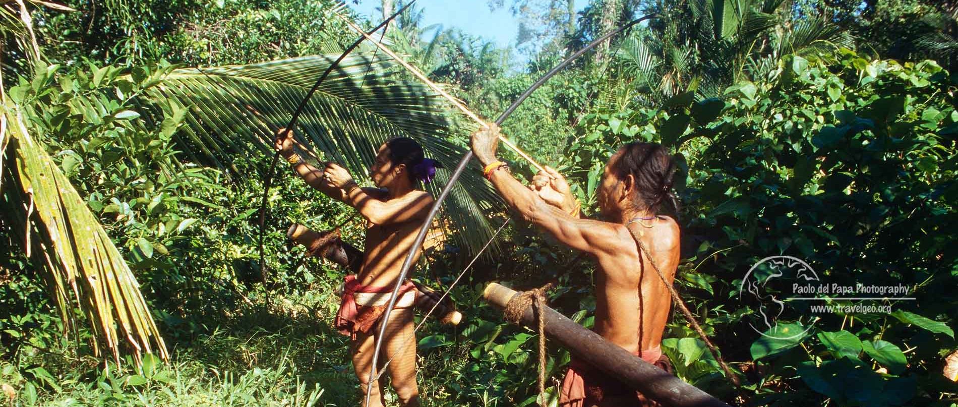 Photo of Mentawaii