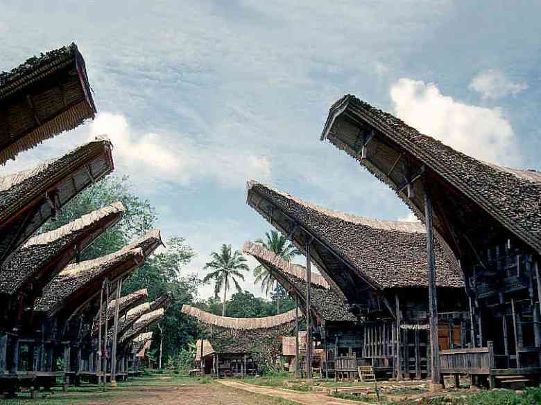 sulawesi indonesia abitazioni tipiche