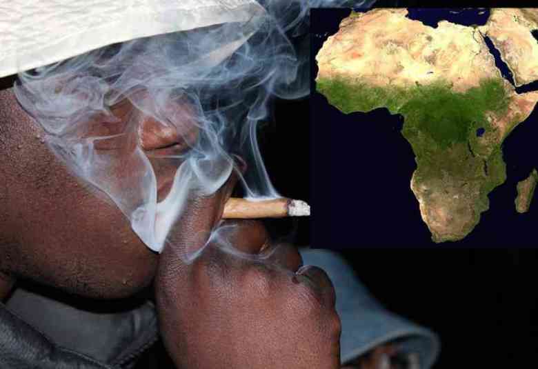 Photo of Le vie della droga africane