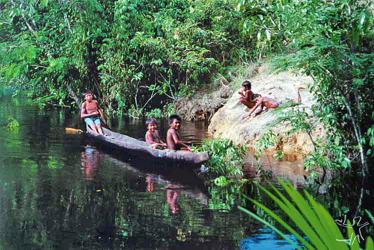 indios amazzonia