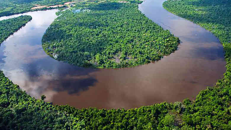 foresta pluviale amazzonia peru