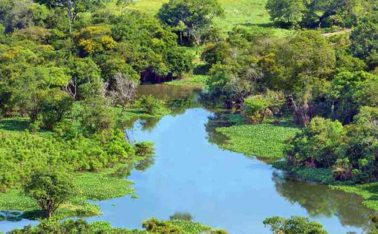 Amazzonia laguna
