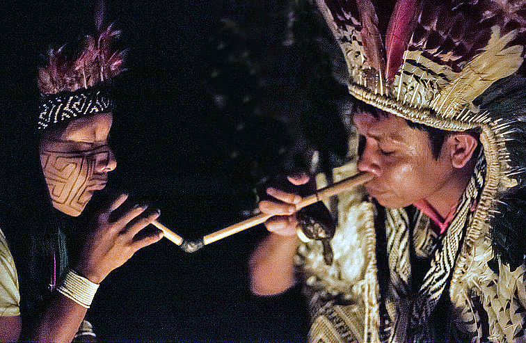 indios amazzonia droga