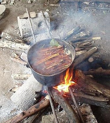 preparazione ayahuasc