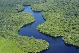 Amazzonia fiume