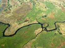 Botswana Delta Okavango