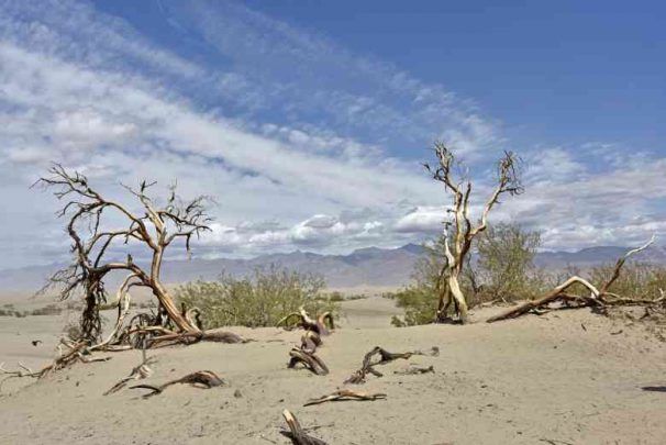 3Usa Ne Death Valley Dunes Mesquite7