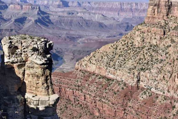 11Usa Az Gran Canyon (25)