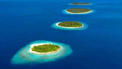 Photo of Maldive